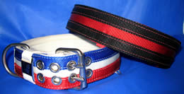 Red collar with black split stripes and white collar with royal blue and red stripes