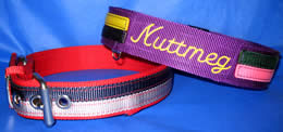 RacingStripe Collars